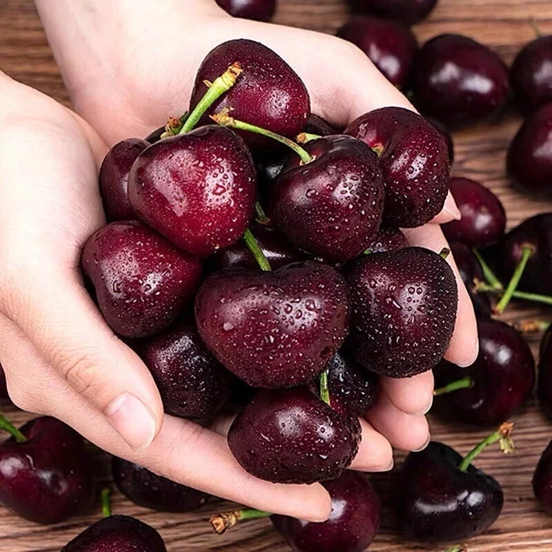 脆智利海运拉宾斯3J-5J车厘子5斤装详情页内附果径卡 内附果径卡