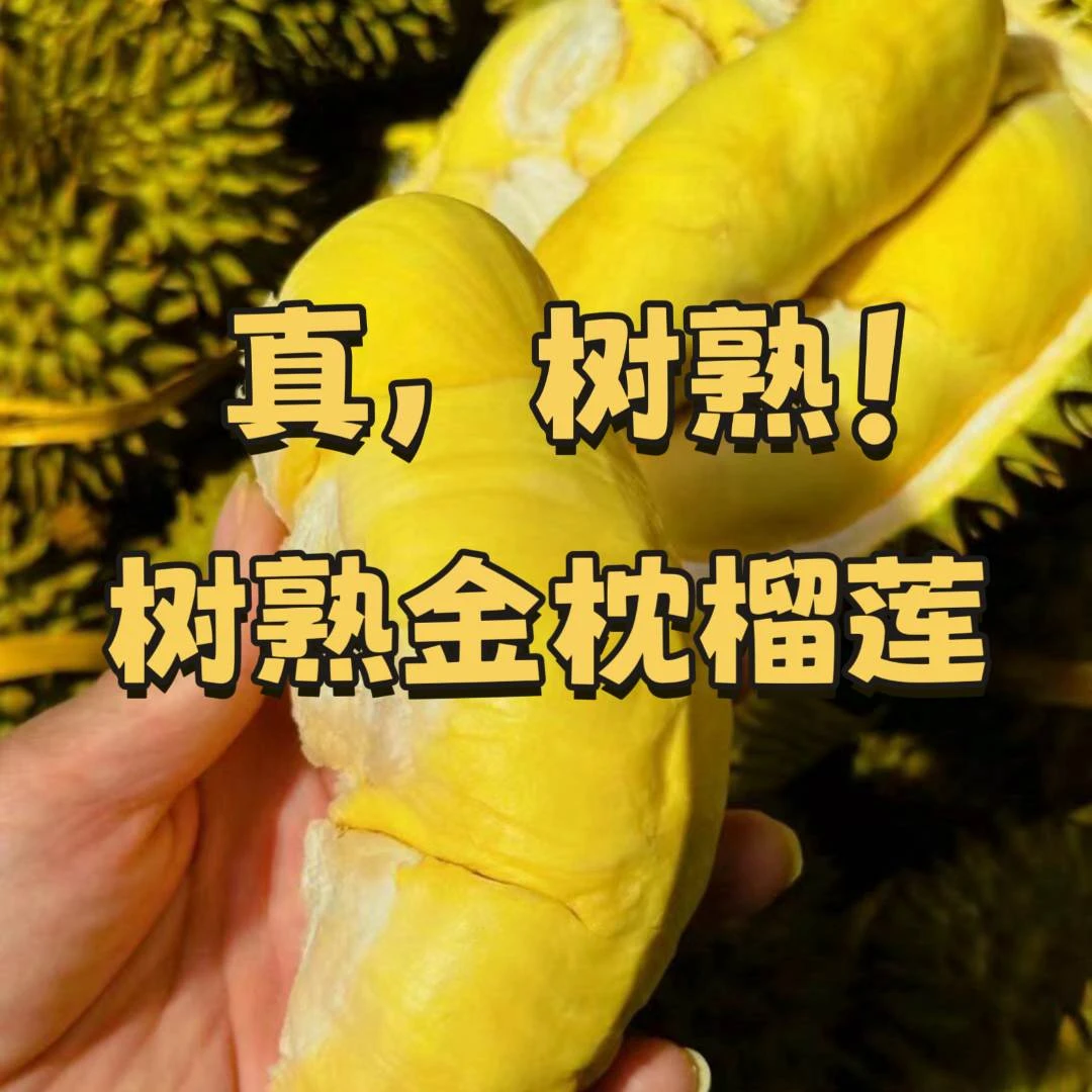 【真！树熟】泰国老树树熟AA级金枕榴莲【保50%出肉率】