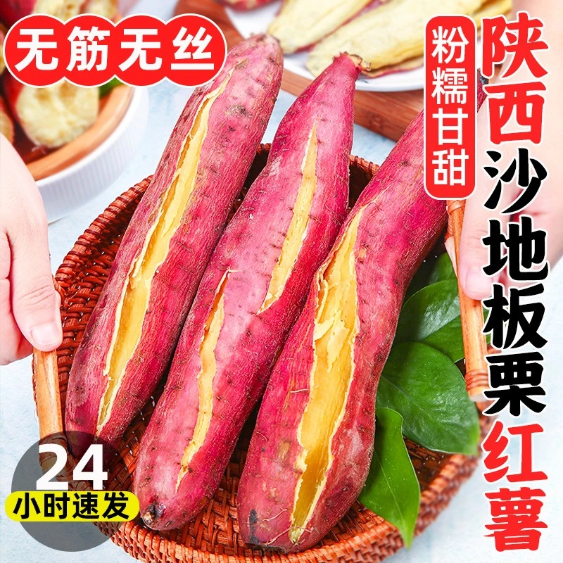 板栗红薯新鲜正宗陕西沙地板栗红薯3斤/5斤现挖粉糯农家地瓜番薯