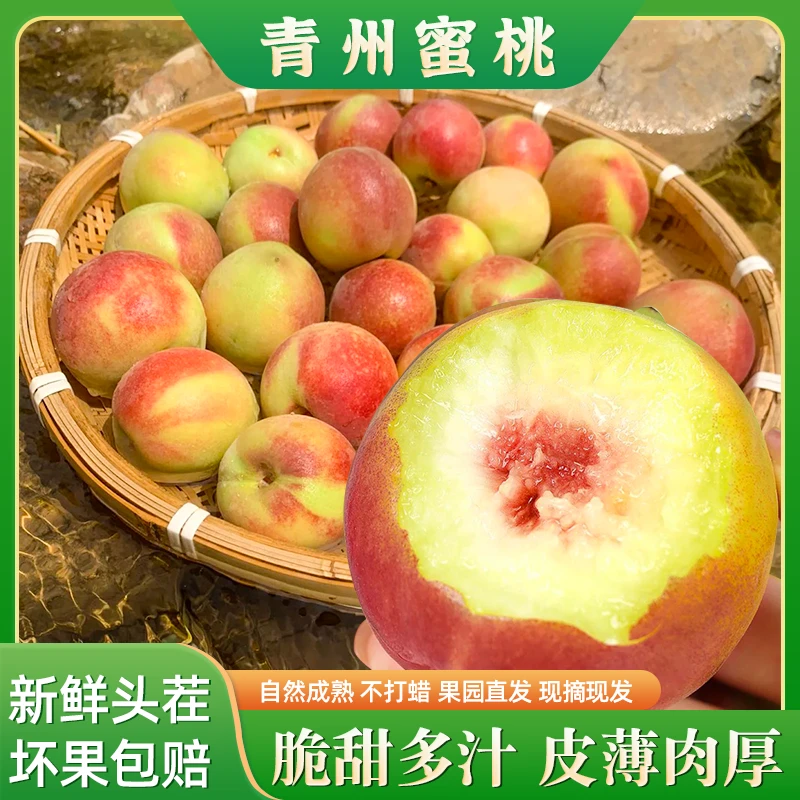 【中秋】正宗山东青州蜜桃脆桃新鲜水果脆甜多汁雪蜜桃3斤起