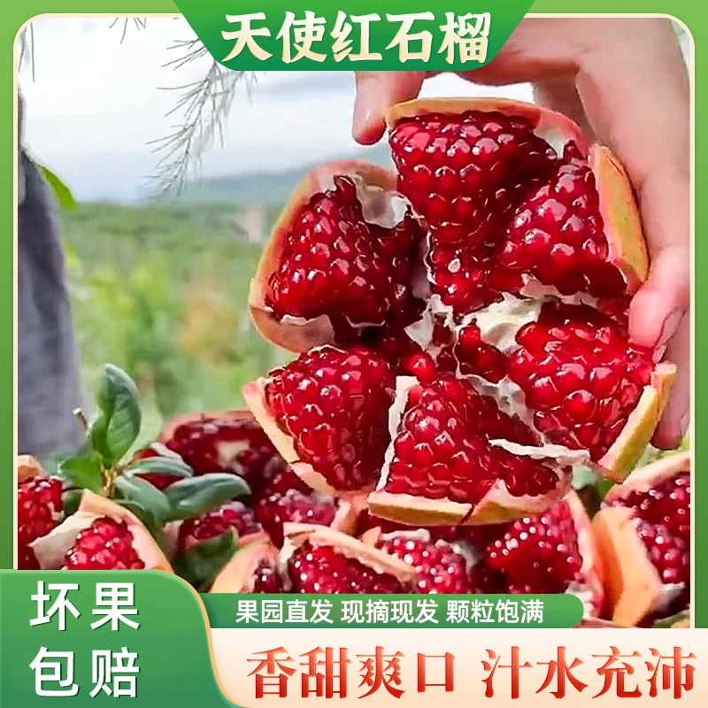 云南大理新品种天使红软籽石榴酸甜爆汁新鲜应季孕妇水果5斤装