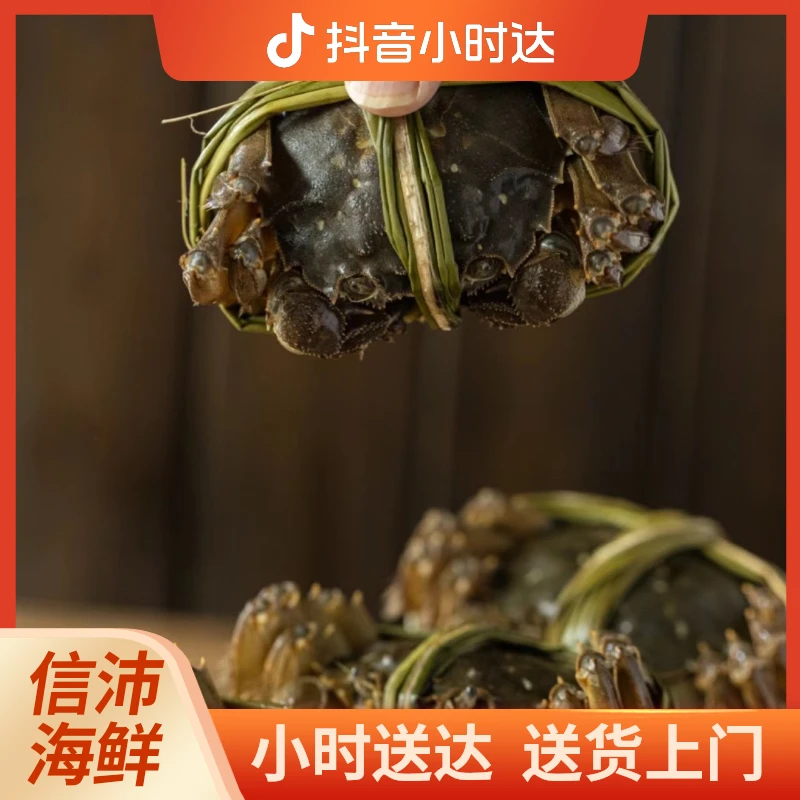 鲜活大闸蟹【公蟹/2两/只】