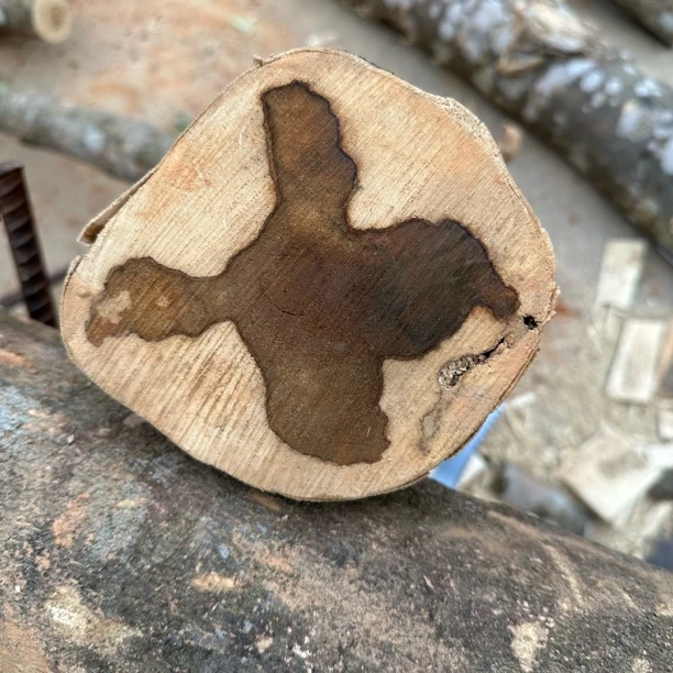 老曾沉香e沉香木段定制创意摆件熏香原木原料