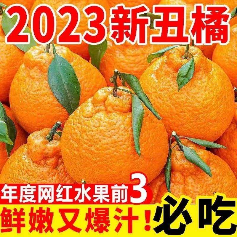 【小扬臻选】正宗不知火丑橘 应当季耙耙丑八怪柑橘 新鲜水果桔子