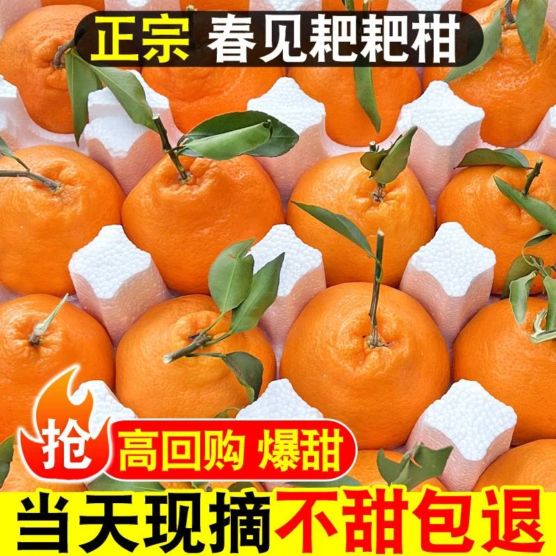 【小扬臻选】丑八怪丑橘新鲜2斤4.1斤4.5斤8斤10斤8.1斤4.5斤8斤1