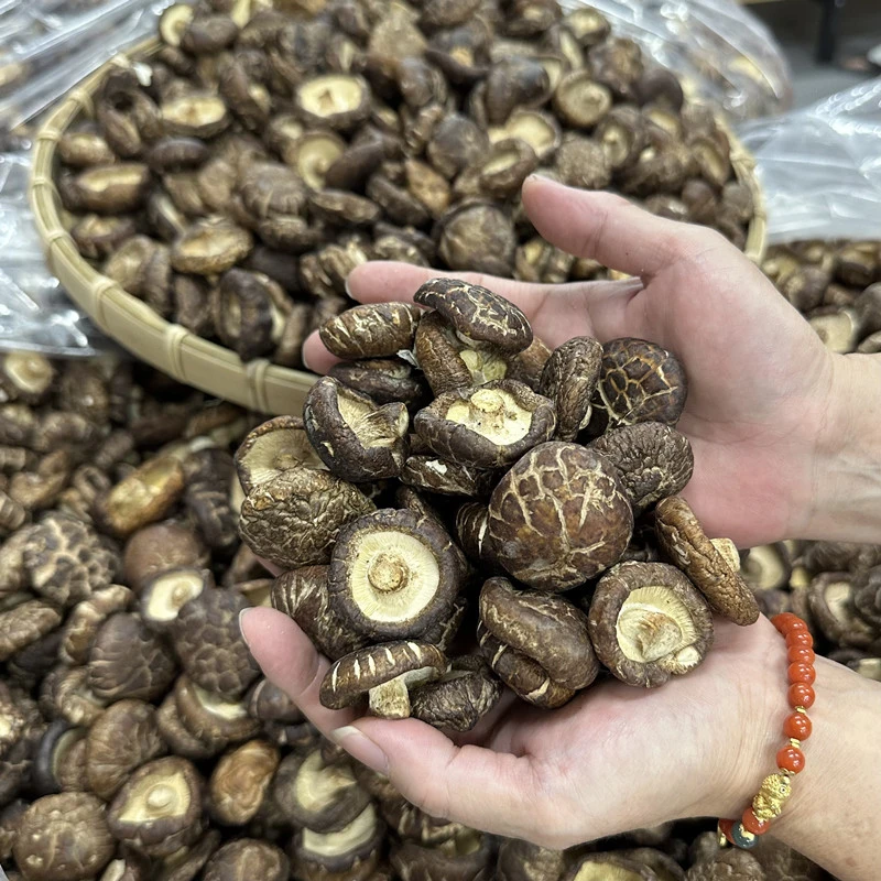 香菇500g汤煮炒煮干货