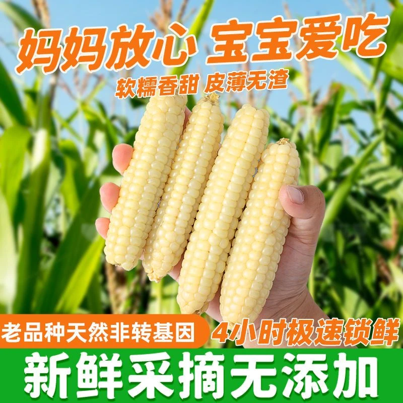 【商城好物推荐】云南西双版纳拇指玉米宝宝代餐