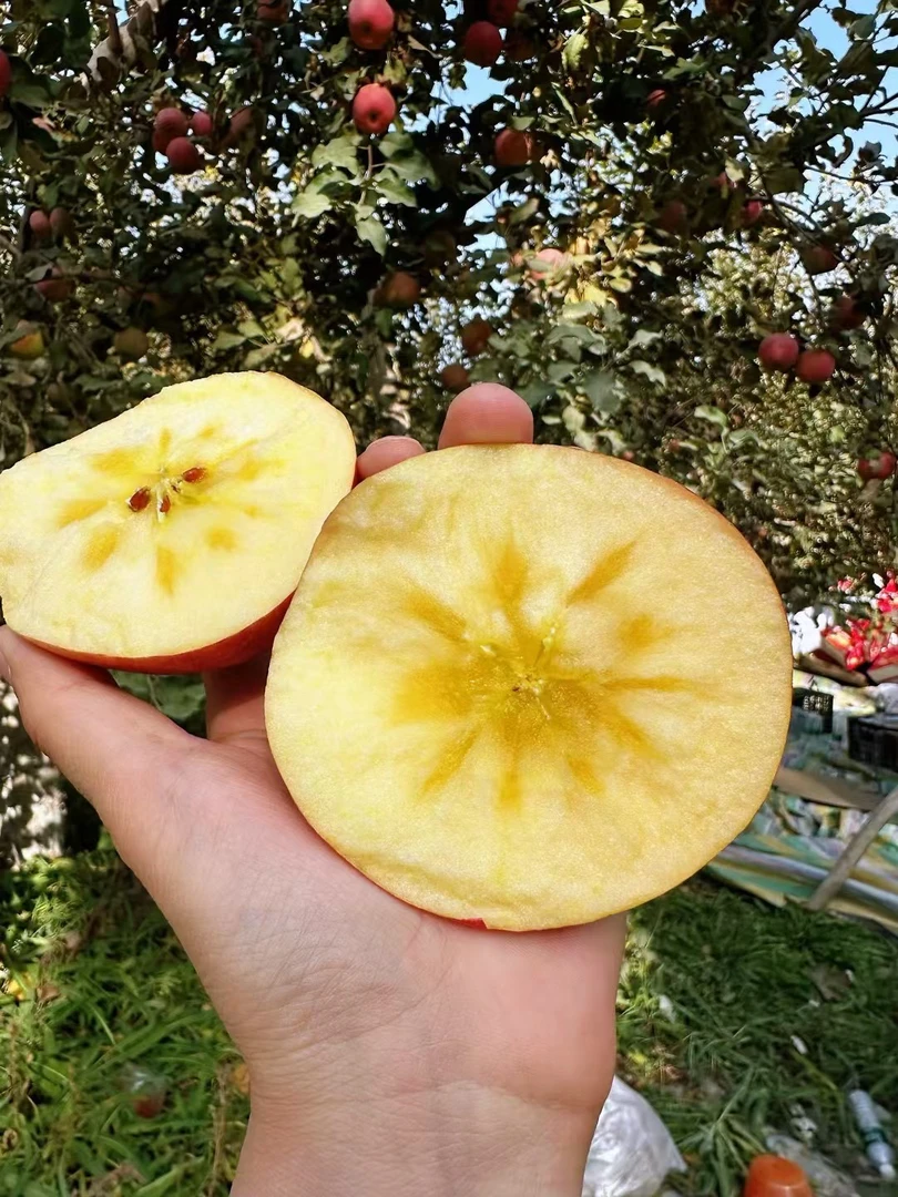 正宗新疆阿克苏冰糖心苹果脆甜多汁孕妇水果5斤九斤包邮