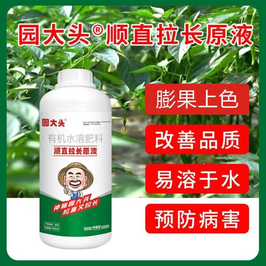 园大头辣椒高纯度高效肥使植物开花更多生根壮苗膨大拉直催芽授粉
