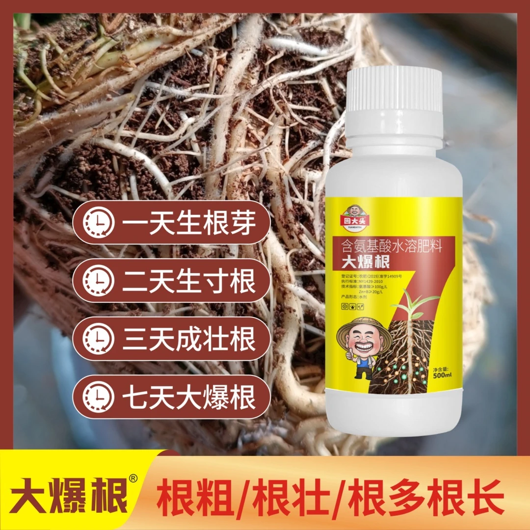 园大头辣椒高纯度高效肥使植物开花更多生根壮苗膨大拉直催芽授粉