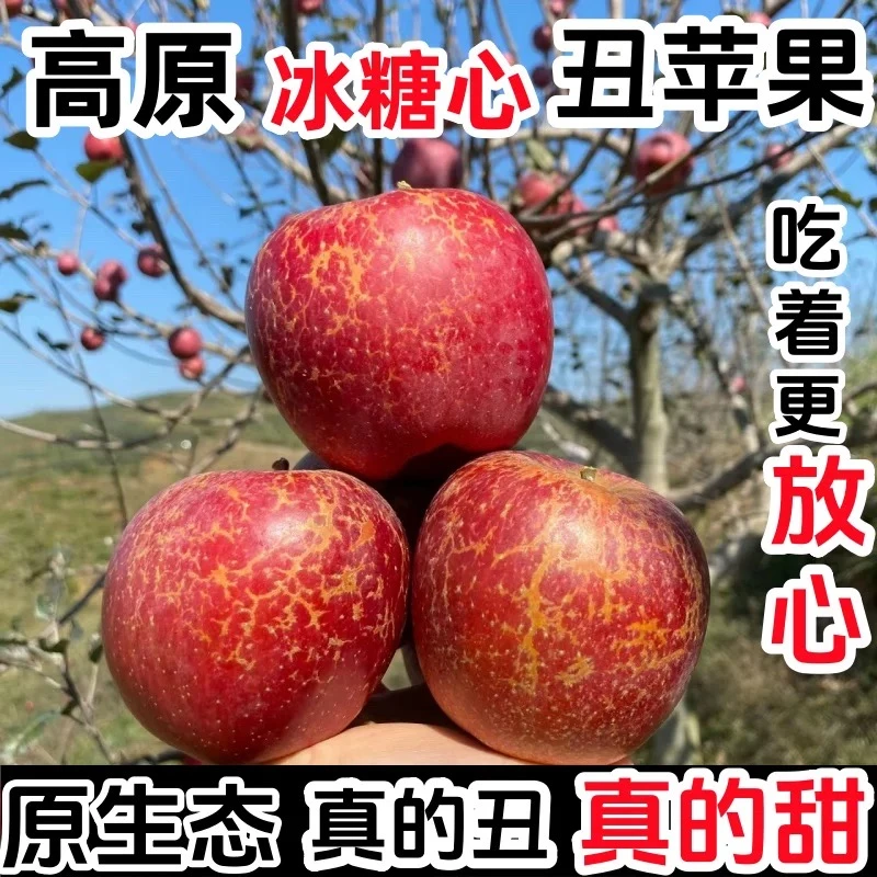 【中通】云南昭通糖心丑苹果盐源苹果大凉山丑苹果新鲜采摘产地直发