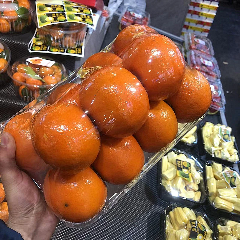 倍鲜6个脐橙苹果一次性包装盒透明托盘加厚水果保鲜打包盒盒长形