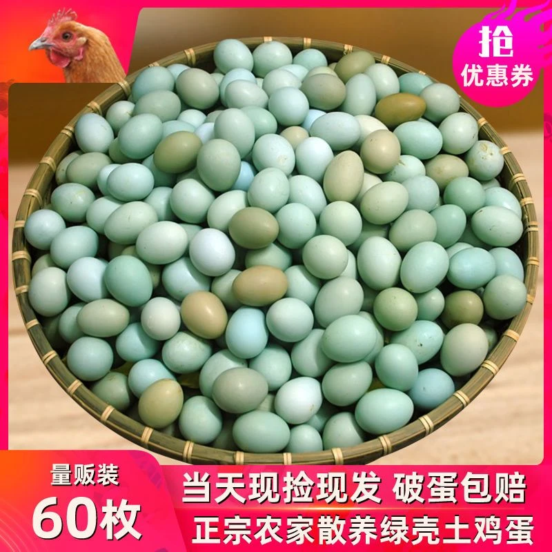 绿壳山鸡蛋10-50枚新鲜新鲜初乌鸡蛋绿壳 乌鸡蛋农家散养整箱批发