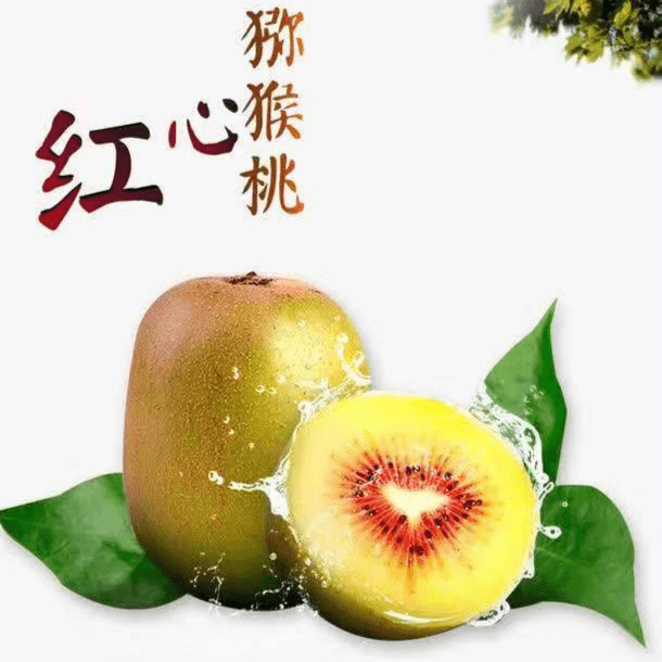 [高山红心猕猴】四川红心猕猴桃新鲜高端水果10-30粒