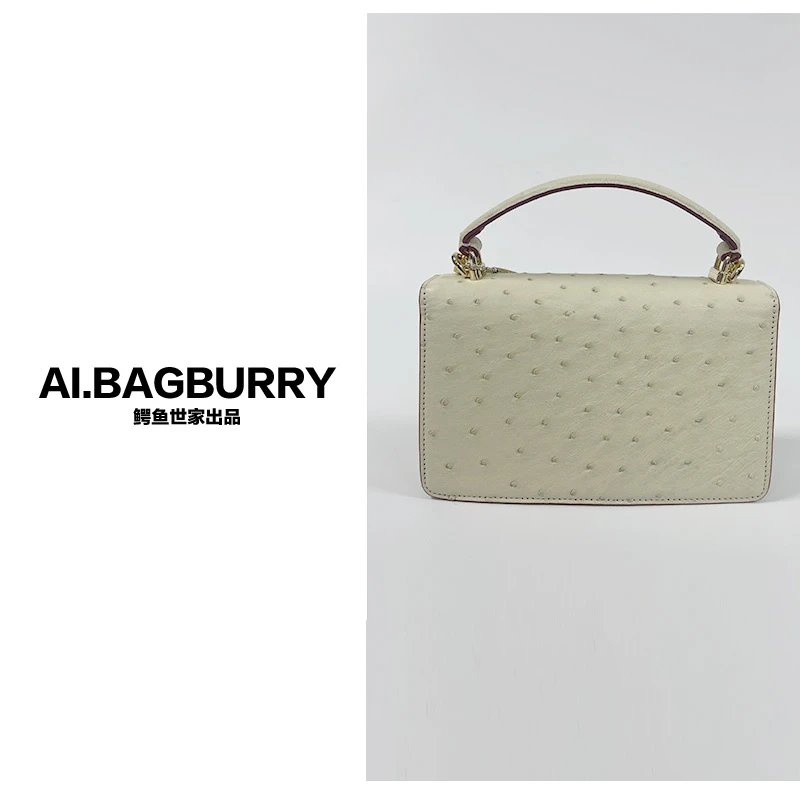 AI.BAGBURRY2025上新潮流性感百搭斜挎包