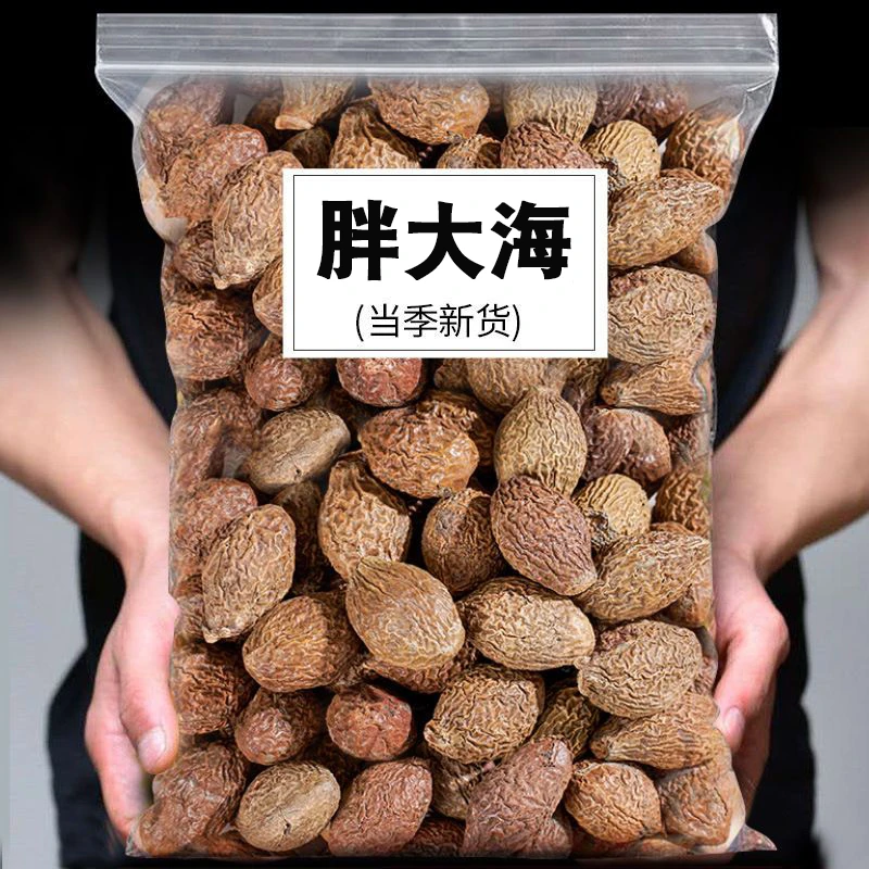 广西胖大海正品批发散装干货胖大海四季泡茶水新货营养无清润饱满