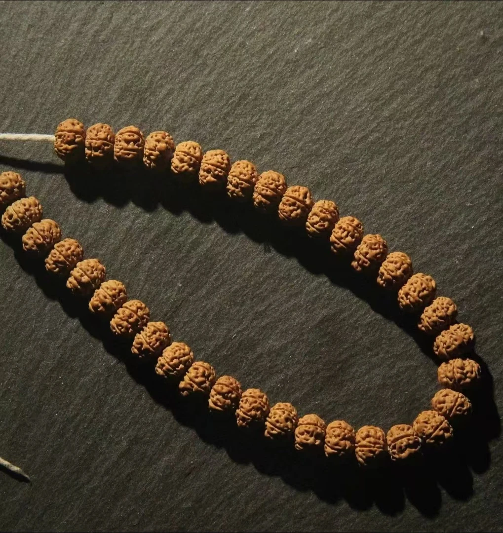 ［收藏级］纯血勿里达原生态老树王菩提小金刚