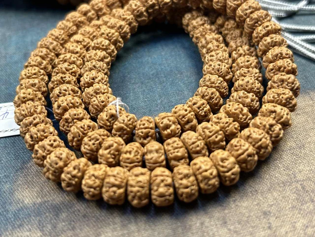 MSR纯血麦穗盘龙药片尺寸9-11