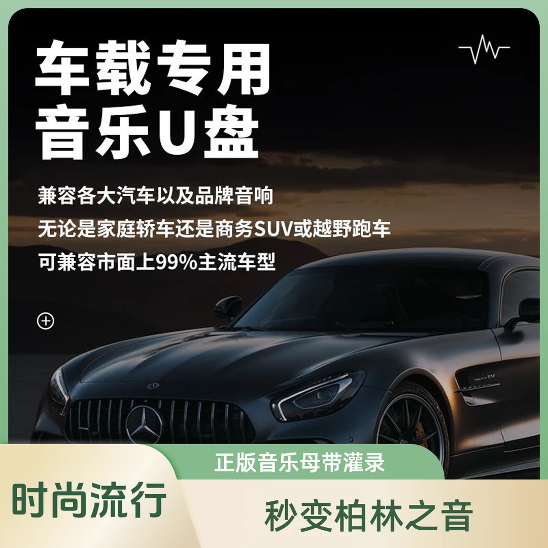 【2024冲销款】车载U盘全新抖音精选热门歌曲通用车型 即插即用