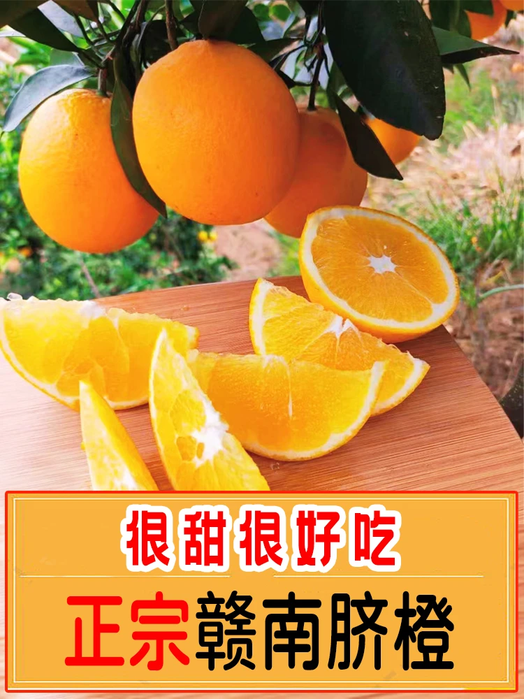 江西赣南脐橙香甜多汁新鲜现摘甜橙应季水果3/5/10斤装[产地直销]