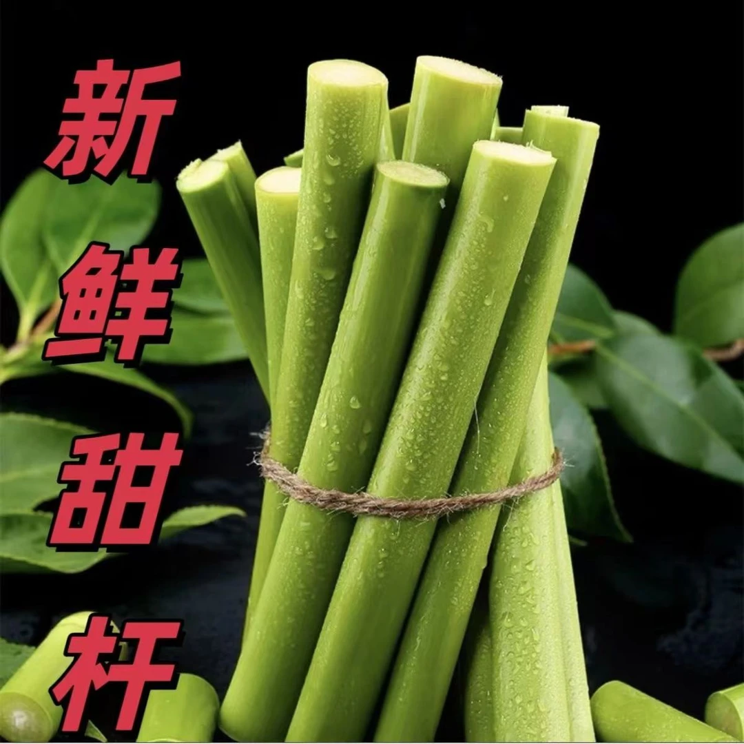 新鲜甜杆甜芦粟甜高粱到梢甜棒芦稷芦穄童年小时候的味道2斤5斤