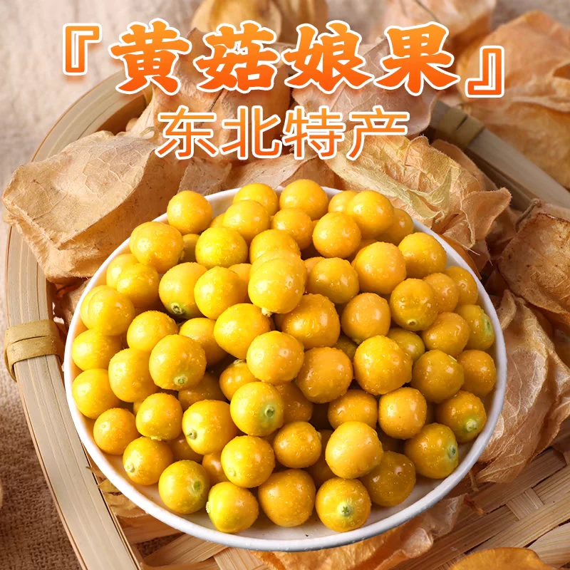 东北小菇娘果 姑娘果洋菇娘浆果灯笼果小黄金豆新鲜应季水果