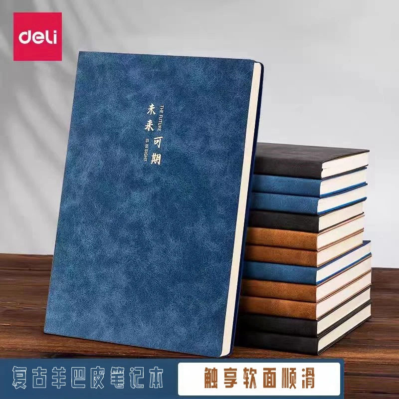得力笔记本记事本羊巴皮软皮商务会议记录加厚复古简约文艺颜值