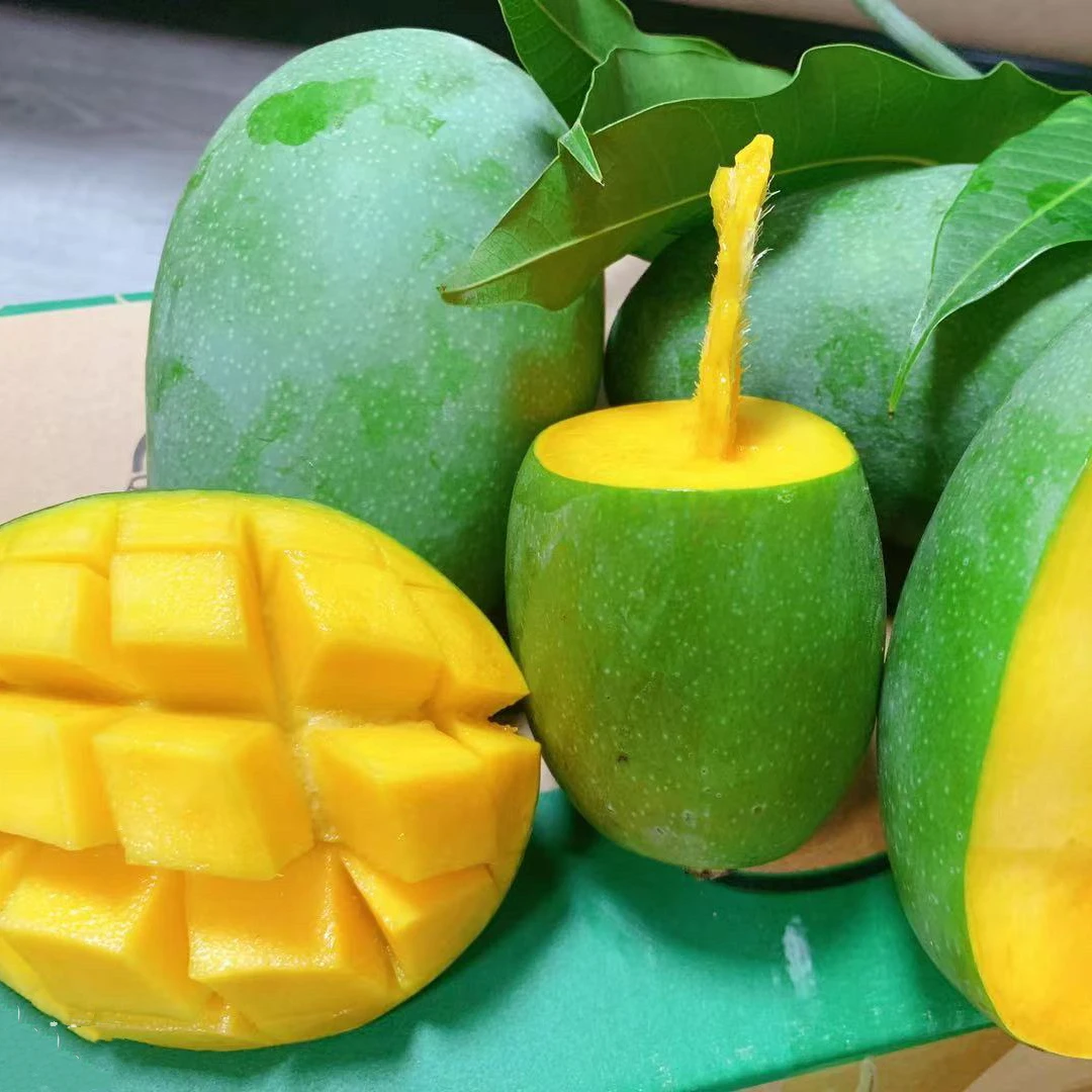 广西百色芒果 青皮金煌  5/8斤净重 现摘现发香甜多汁饱满新鲜