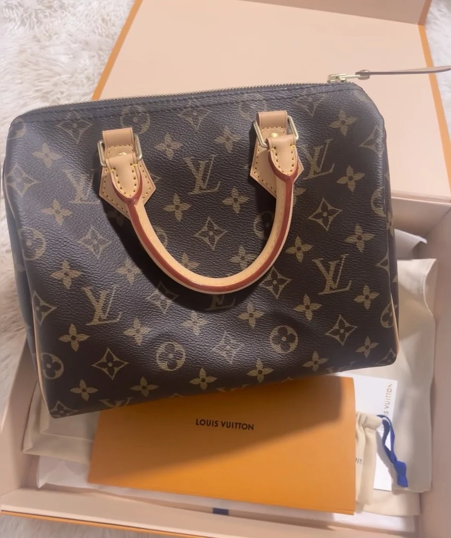 95新 LouisVuitton/路易威登 LVSpeedy25枕头包/M41528/全原成色