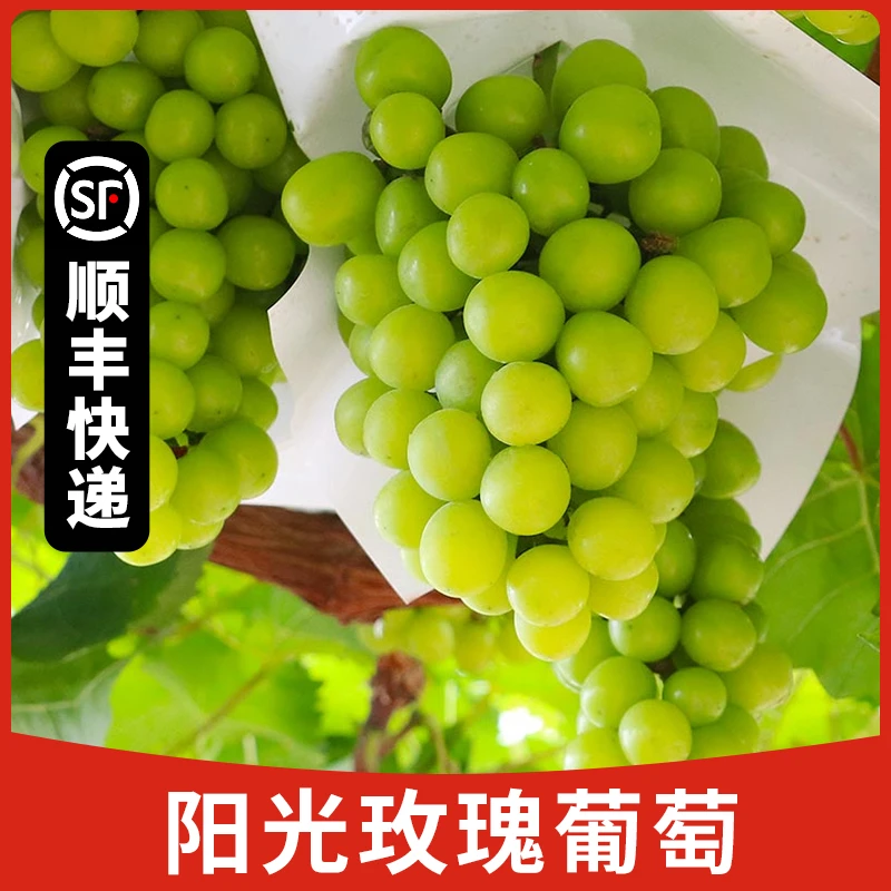 【玉希专属】陕西阳光玫瑰葡萄4斤装当季新鲜水果香甜多汁顺丰快递
