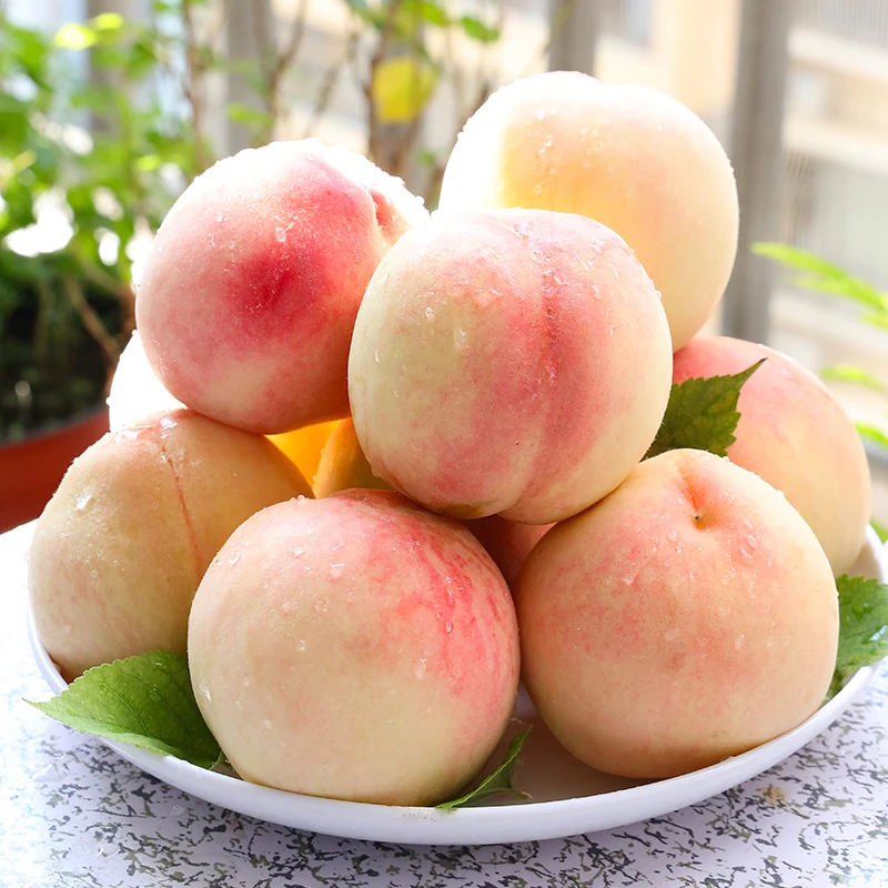 【自然搭档】江苏无锡阳山水蜜桃8枚/12枚礼盒装当季新鲜水果桃子