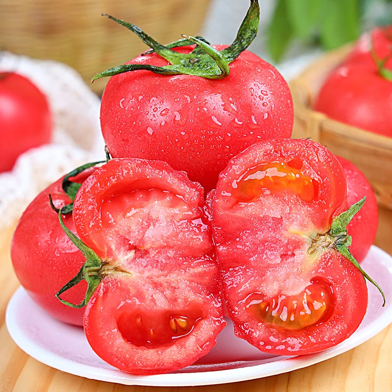 【自然搭档】陕西普罗旺斯西红柿4.5斤装大果沙瓤番茄 顺丰快递