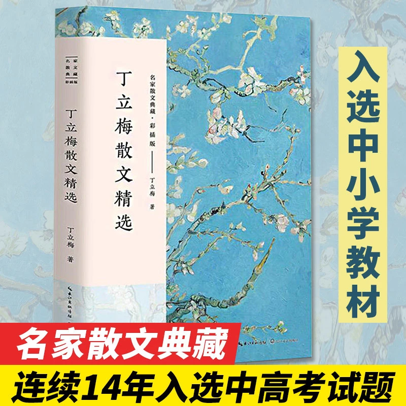 丁立梅散文精选 彩插正版名家散文典藏 中国现当代名家散文随笔集