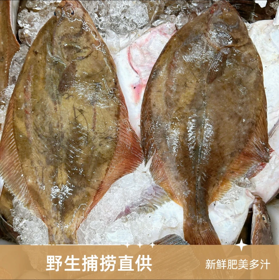 钱库里冰鲜石浆鱼 3斤+2斤（6~10条）（只发大连市）