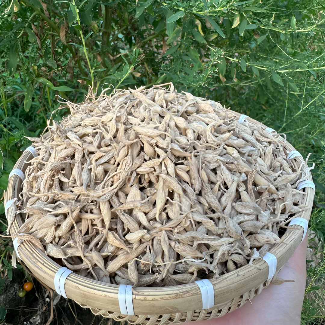 【唛冬】深山野咚根