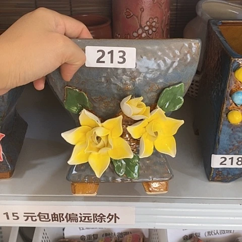 【闪购商品】红陶20CM以下