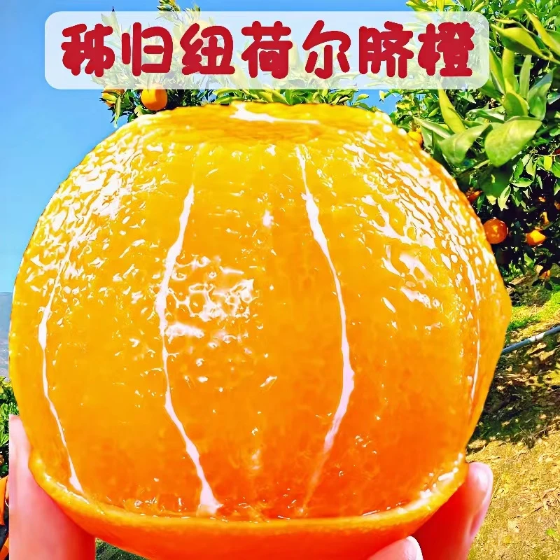 秭归纽荷尔脐橙新鲜水果橙子现摘皮薄爆汁整箱手剥甜橙9斤非赣南