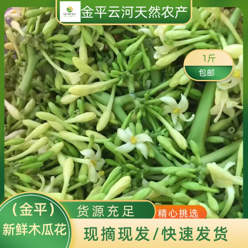 云南金平农家菜食用新鲜木瓜花公花晒干雄花味苦炒菜凉拌农家菜