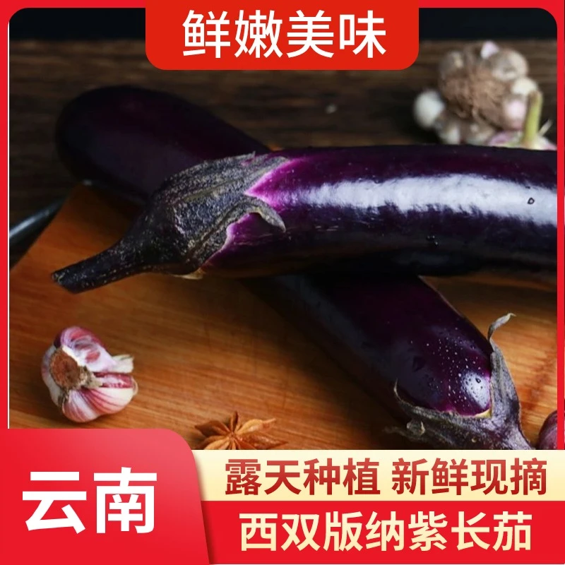 【农家甄选】云南露天紫把长茄子线茄子嫩小茄子农家自种紫茄子蔬菜