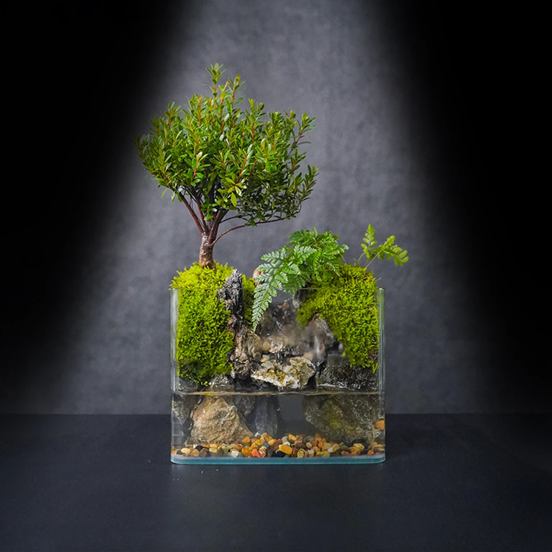 （国风山水）石谷—赤楠中式国风真植物真石头实拍--尺寸（20*14*16）