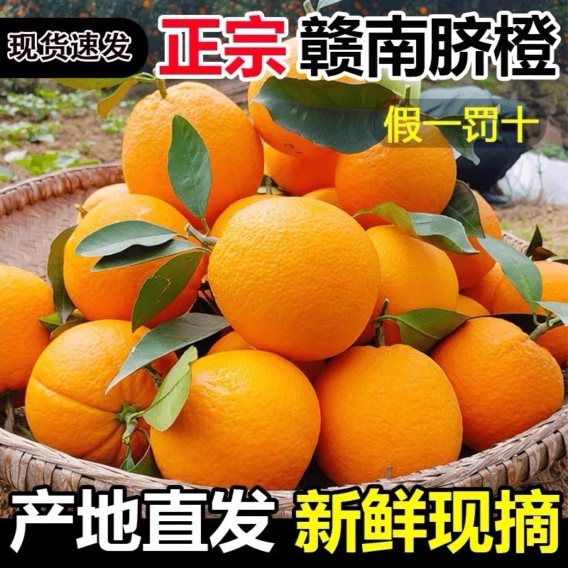 江西赣州赣南脐橙江西原产地赣南脐橙新鲜现采现发10斤包邮