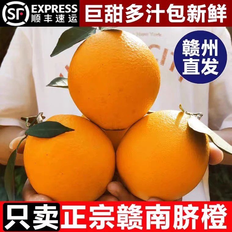 【顺丰包邮】正宗江西赣南脐橙新鲜水果产地直发现摘橙子10斤装精品