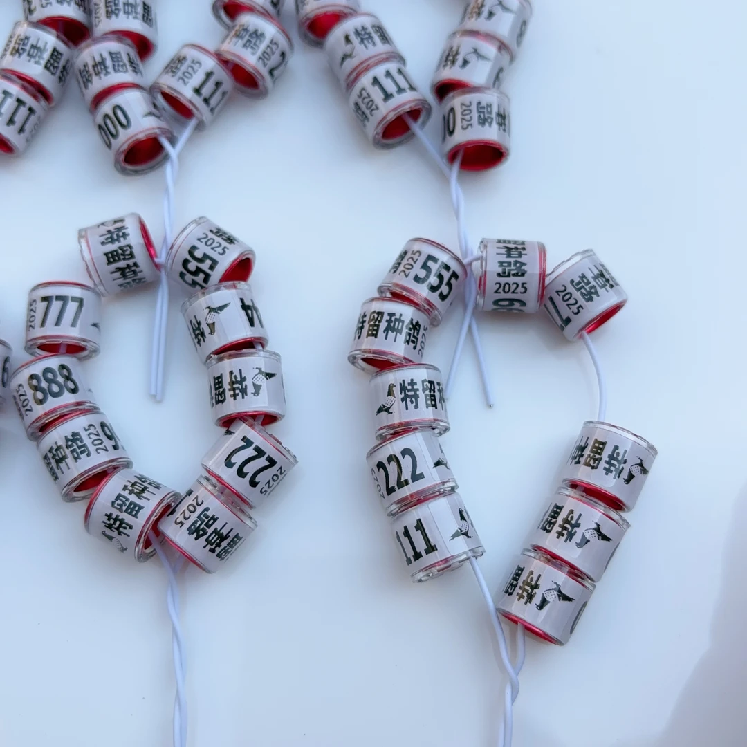 2025年特留种鸽环赛鸽留种环豹子号