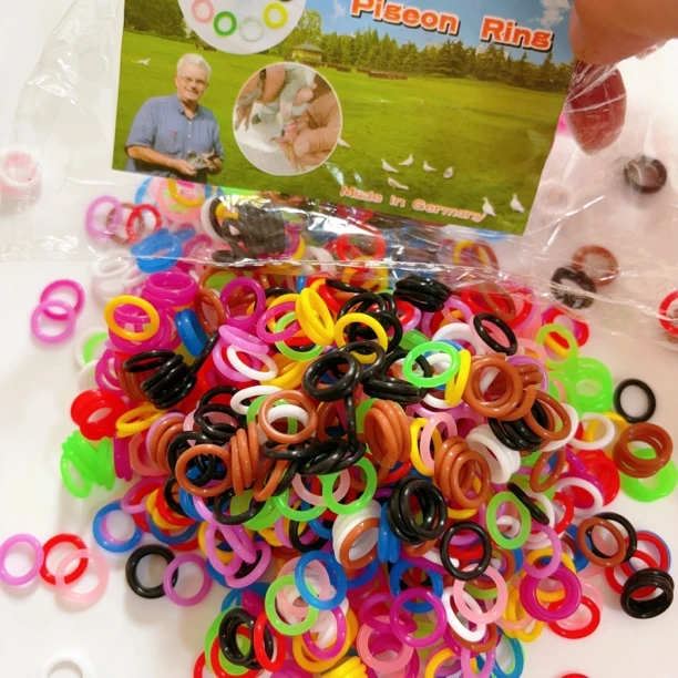 鸽子弹力圆识别圈