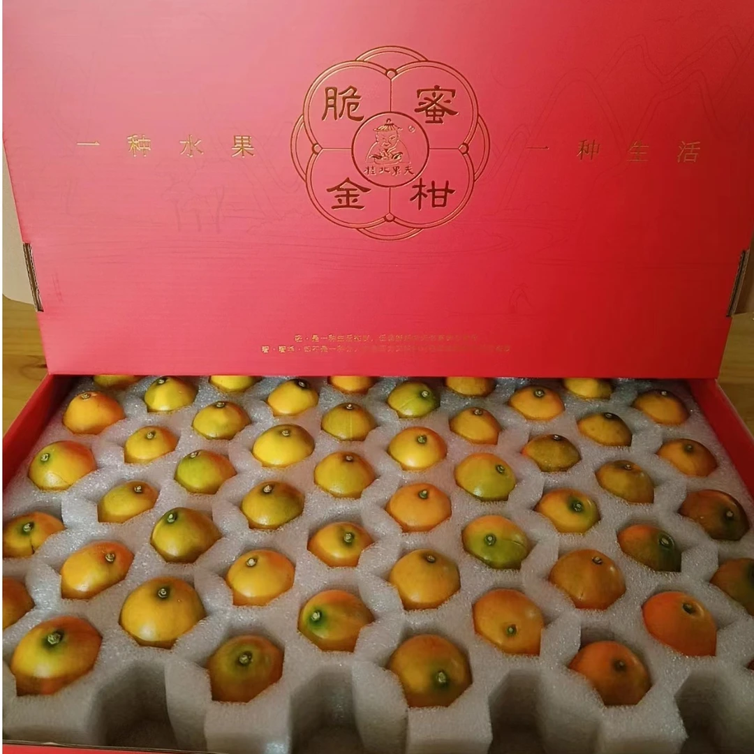 【金桔王后】广西脆蜜金柑第三代  新鲜水果顺丰包邮