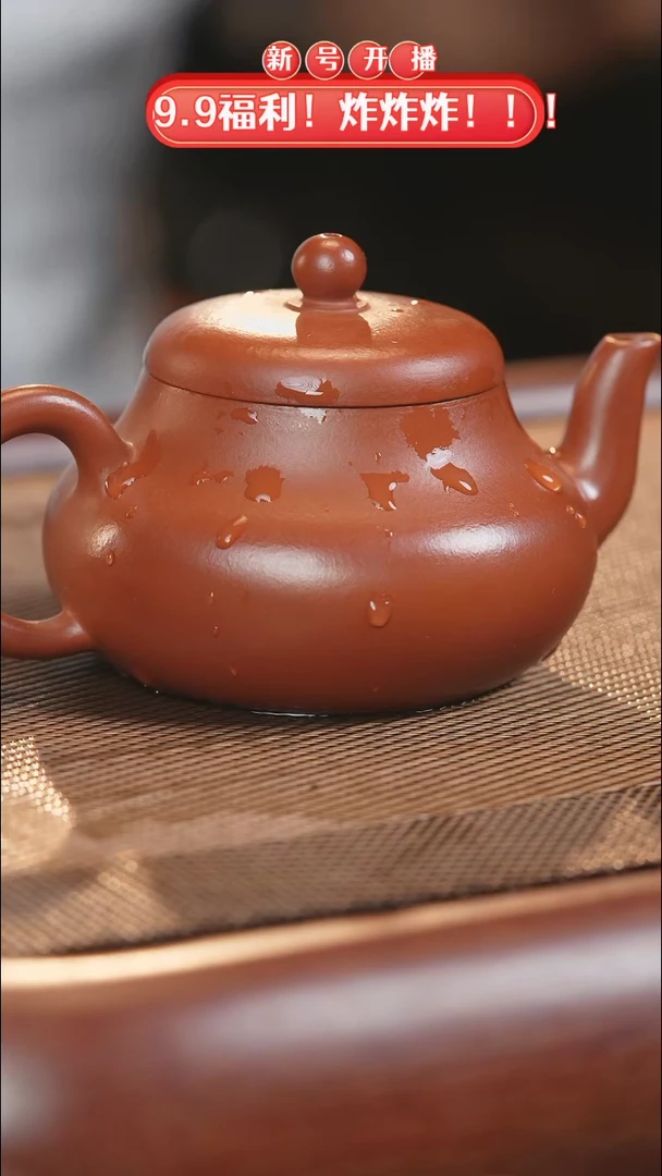 【闪购商品】紫砂茶壶004