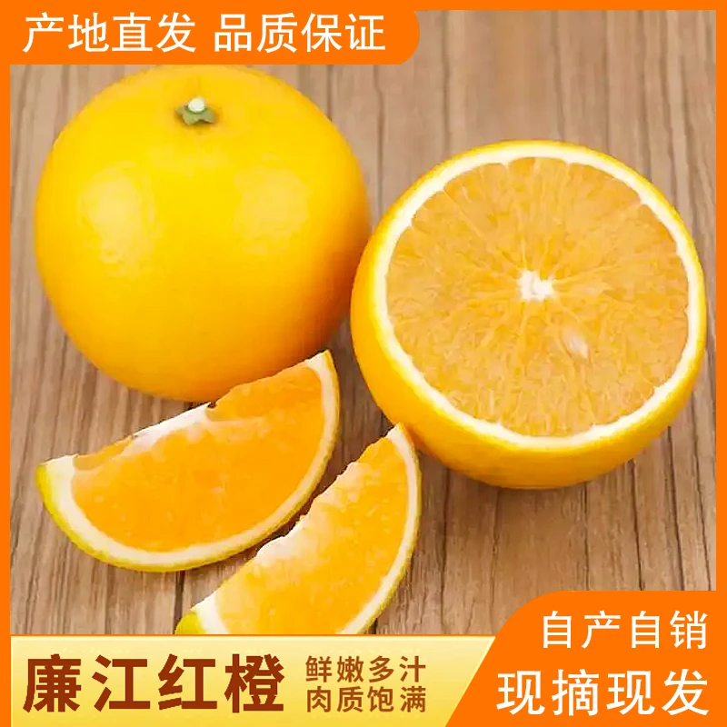 【进乐专属】廉江红橙红江橙甜橙新鲜橙子天然现摘鲜甜多汁