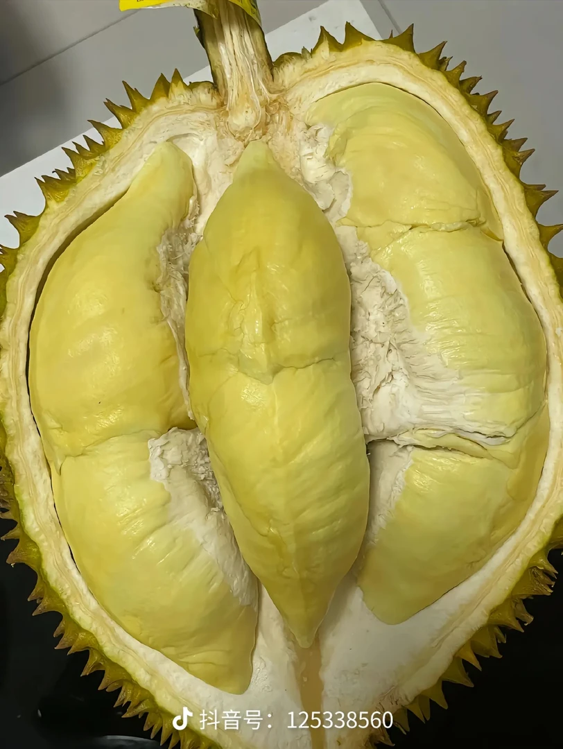 泰国树上熟