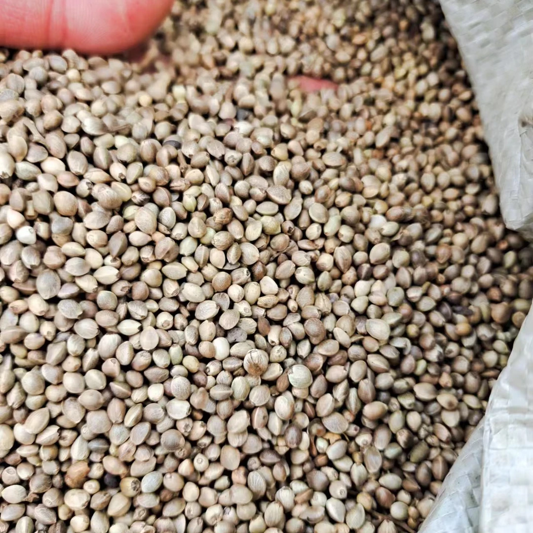 君子兰专用肥料小麻子有机肥包邮