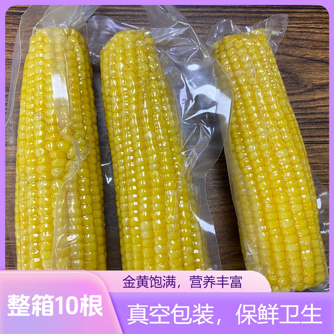 【整箱10根】黄糯玉米真空包装东北大棒子鲜甜糯非即食